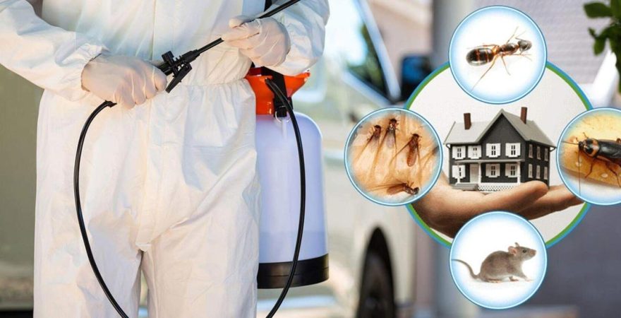 Bahçelerarası Böcek İlaçlama