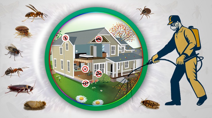 Bahçelerarası Böcek İlaçlama